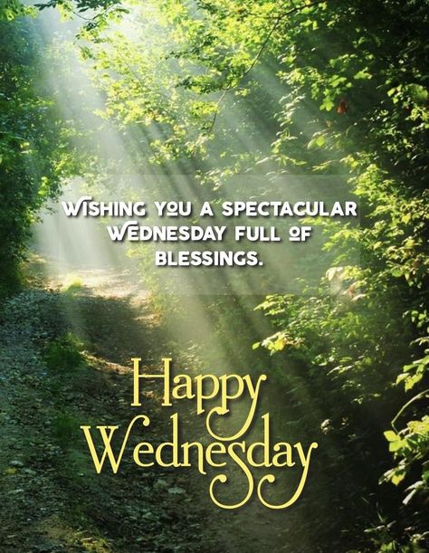 Happy Wednesday, friends and family! 🌞 Sending loads of blessings your way today! May your hearts be light, your spirits lifted, and your day filled with joy. Whatever you’re facing this week, remember you’ve got this because God’s got you! 💪🏼❤️ Take a deep breath, count your blessings, and keep shining. Let’s make today a beautiful one! #MidweekBlessings #GodsGotMe #JoyInTheJourney #GratefulHeart #StillStanding #SendCoffee ☕️ Wednesday Friends, God's Blessings, Keep Shining, You Ve Got This, Count Your Blessings, Grateful Heart, Take A Deep Breath, Still Standing, Deep Breath