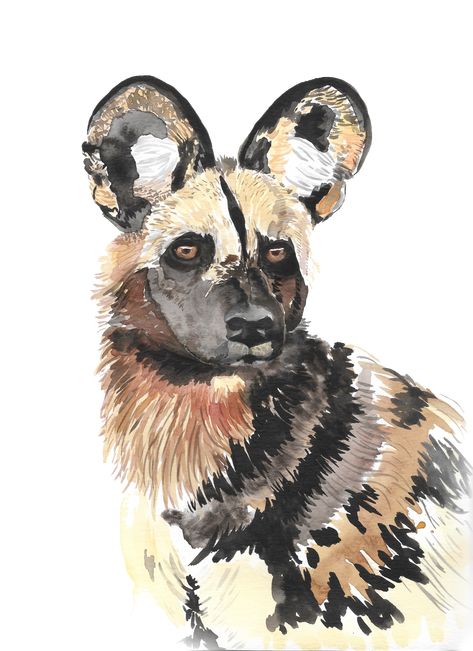 Painted Dogs, Los Angeles Zoo, Mystical Tattoos, Painted Portraits, Dog Watercolor, Wild Dog, African Wild Dog, Graphic Design Photo, Art Investment