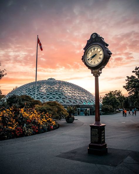 Queen Elizabeth Park Vancouver, Queen Elizabeth Park, Pinterest Journal, Wallpaper Landscape, Iphone Wallpaper Landscape, 2025 Vision, Maternity Shoot, Sunshine Coast, Pregnancy Shoot