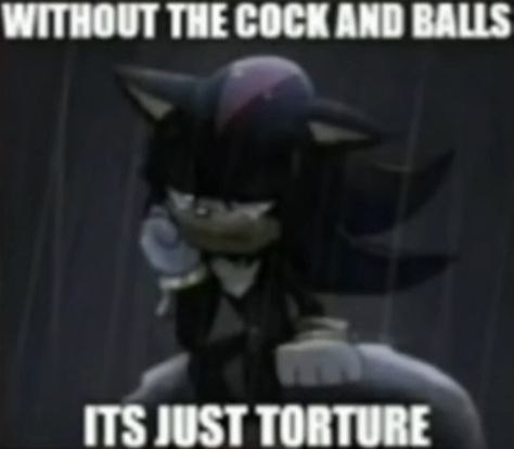 Silly Sonic, Batman Things, Goofy Memes, Sonic Funny, Sonic And Shadow, Sonic Boom, Shadow The Hedgehog, Best Memes, Funny Laugh