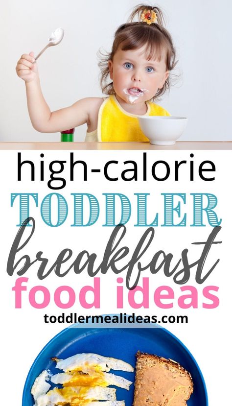 High Fat Foods For Toddlers, Toddler Weight Gain Recipes, Breakfast Ideas For Toddlers Easy, Toddler Weight Gain Food, Blw Breakfast, Breakfast Ideas For Toddlers, Breakfast Food Ideas, Gain Food, High Calorie Breakfast