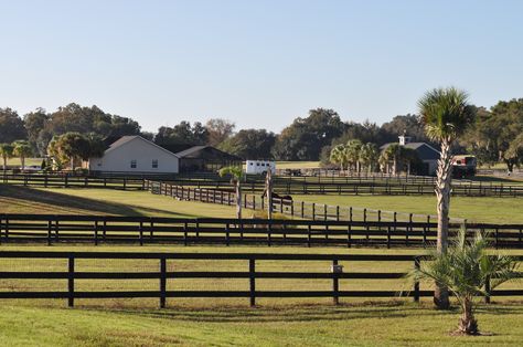 Ocala is known for it's picturesque horse farms Farm Animals Pictures, Florida Travel Destinations, Cypress Swamp, Retirement Life, Ocala Florida, Florida Style, Horse Farm, Florida Living, Farm Barn