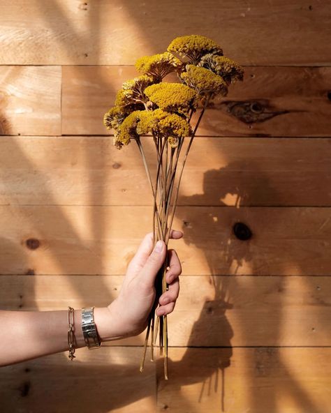 Handcrafted Spring Wreaths & Botanicals 🌿🌸 #slowroads Golden Yarrow, Dried Yarrow, Dried Botanicals, Door Mat Entryway, Pine Cone Candles, Bring Nature Indoors, Spring Wreaths, Vase Fillers, Nature Indoors