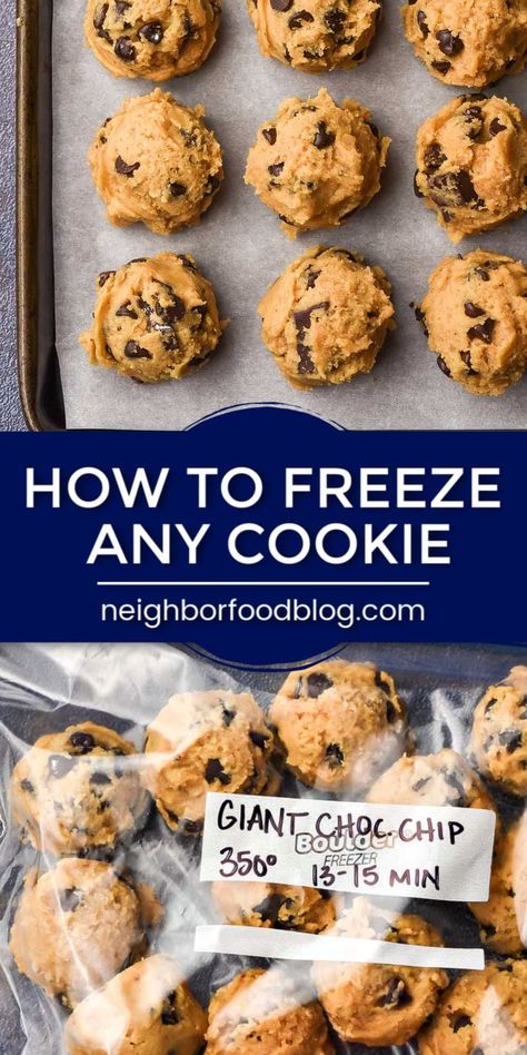 Sugar Cookie Cut Outs, Freeze Cookies, Freezing Cookies, Freezable Cookies, Freezer Cookies, Cookies And Bars, Chocolate Chip Shortbread Cookies, Drop Cookie Recipes, Freezing Food