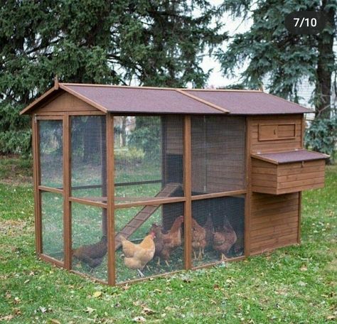 Reban Ayam, Chicken Coop Kit, Urban Chicken Farming, Best Egg Laying Chickens, Portable Chicken Coop, Egg Laying Chickens, Urban Chickens, Best Chicken Coop, Chicken Coop Designs