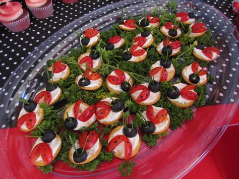 Appetizers from a Ladybug Party #ladybug #appetizers Bug Birthday Party Ideas, Ladybug Themed Birthday Party, Ladybug Snacks, Lady Bug Birthday Party, Ladybug Centerpieces, Miraculous Birthday, Bug Birthday Party, Bug Snacks, Tasty Appetizers