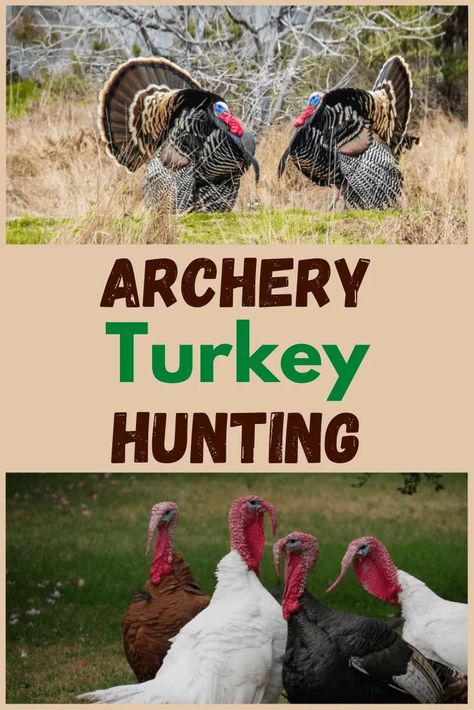 Turkey hunting is a humbling sport and the challenge of it all makes it addictive. Here's archery turkey hunting 101. Hunting Diy, Shtf Preparedness, Deer Hunting Tips, Quail Hunting, Deer Hunting Gear, Turkey Calling, Hunting Life, Hunting Tips, Deer Hunters