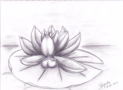 Water Lilies Sketch, Lily Pad Drawing Simple, Lilypad Drawing, Waterlily Drawing, Lily Pad Drawing, Lily Tattoo Designs, Water Lily Drawing, Lilly Tattoo Design, Name Flower Tattoo