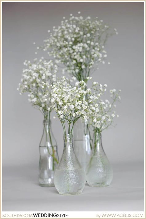 white baby breath in a vase for a vintage wedding | SD Wedding Baby's Breath Decor Simple Babysbreath Centerpieces, Eucalyptus And Babysbreath Wedding, Babies Breath Bud Vases Wedding, Flower Vase Table Decor, Baby’s Breathe Centerpieces, Baby's Breath Bud Vase, Wedding Table Baby Breath, Diy Babybreath Centerpiece, Eucalyptus And Baby Breath Wedding