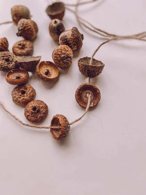 How to make your own Acorn Cap Beads - A fun Spanish activity for kids | Niños & Nature Nature Jewelry Diy, Fall Family Activities, Acorn Caps, Camping Activities For Kids, Acorn Crafts, Spanish Songs, Theme Nature, Making Necklaces, Spanish Activities