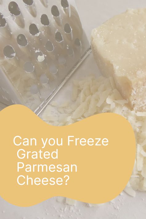 Are you a parmesan cheese enthusiast, always worried about its freshness and wastage? Worry no more! With this comprehensive guide, learn how to freeze your favorite grated parmesan cheese. Not only will it extend its shelf-life, but it also guarantees its freshness upon thawing. Click to learn more! Cheese Mold, Aged Cheese, Storage Tips, Grated Cheese, Cheese Sauce, Do Not Eat, Parmesan Cheese, Grated Parmesan Cheese, Hot Meals