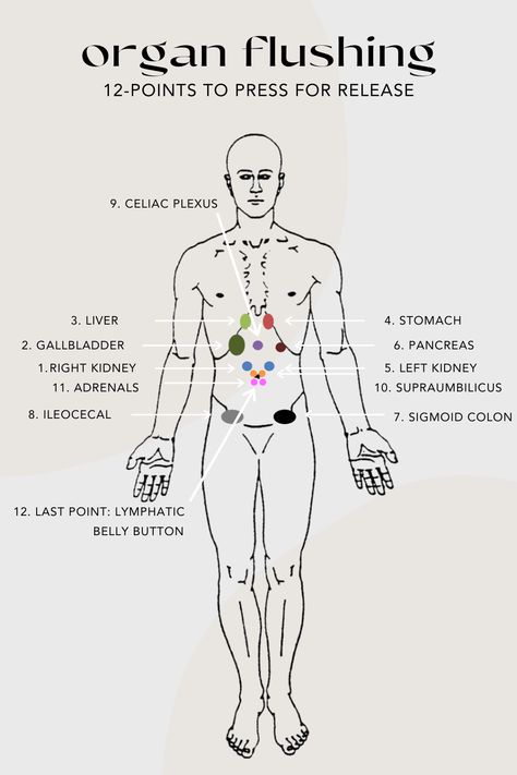 Organ Flushing, Lymph Massage, Picture Description, Acupressure Points, Natural Health Remedies, Alternative Health, The Human Body, Reflexology, Health Info