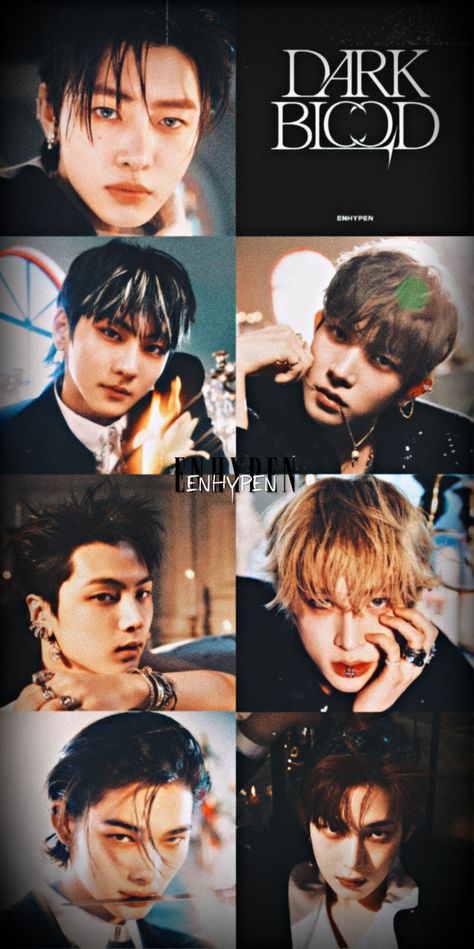 Enhypen Sweet Venom Wallpaper, Comeback Wallpaper, Enhypen Comeback, Fav Wallpaper, Enhypen Concert, Jake Wallpaper, Wallpaper Enhypen, Blood Wallpaper, Idol Aesthetic