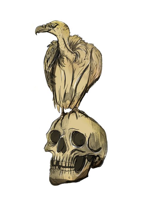 Vulture Drawing Sketches, Buzzard Illustration, Vulture Artwork, Vulture Drawing, Vulture Illustration, Bird Skull Tattoo, Map Sketch, Strep Throat, Vulture Culture