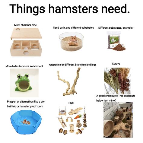 Hamster Must Haves, Hamster Fairy Cage, Pet Hamster Cage, Mouse Cage Diy, Hamster Accessories Diy, How To Take Care Of Hamsters, Hamster Care Checklist, Diy Hamster Enrichment, Syrian Hamster Cage Ideas