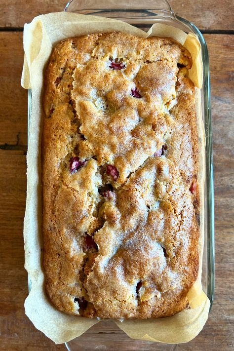 This citrusy buttermilk quick bread is moist, tender and packed with sweetly-tart fresh rhubarb. With bright notes of orange, cardamom and vanilla, it’s a celebration of fresh spring flavours! *Notes on how to make your own buttermilk or to make it dairy free are included in the blog post. | #rhubarbbread #quickbread #rhubarbrecipes #rhubarb #citrus #cardamom #brunchideas #homemadebread Orange Rhubarb Bread, Rhubarb Orange Muffins, Rhubarb Quick Bread Recipes, Rhubarb Quick Bread, Rhubarb Bread Recipe, Recipes Muffins, Rhubarb Bread, Fresh Rhubarb, Orange Cardamom