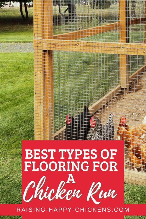 Concrete Floor Chicken Run, Chicken Coop Base Ideas, Chicken Flooring Ideas, Best Chicken Run Flooring, Homemade Chicken Run, Chicken Run Bedding, What To Put In Chicken Run, Chicken Coop Run Flooring, Best Chicken Coop Flooring