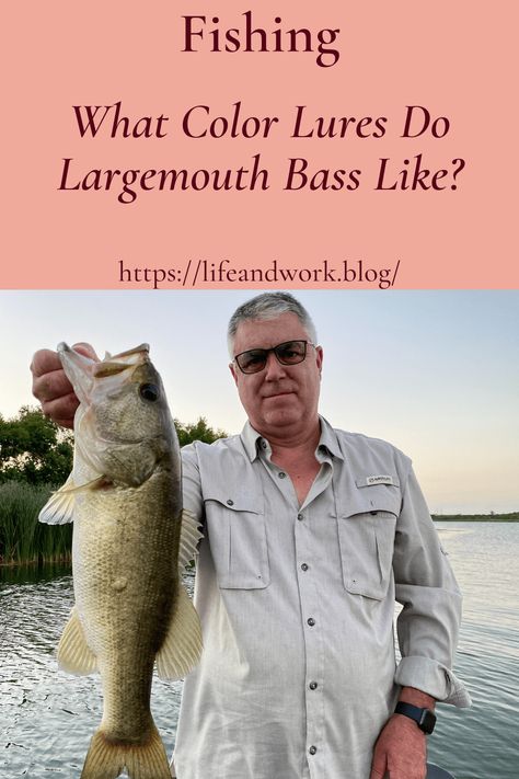 What Color Lures Do Largemouth Bass Like? Best Bass Fishing Lures, Best Bass Lures, Fishing Tricks, Best Fishing Lures, Largemouth Bass Fishing, Diy Fishing Lures, Fishing For Beginners, Fly Fishing Tips, Bass Fishing Lures