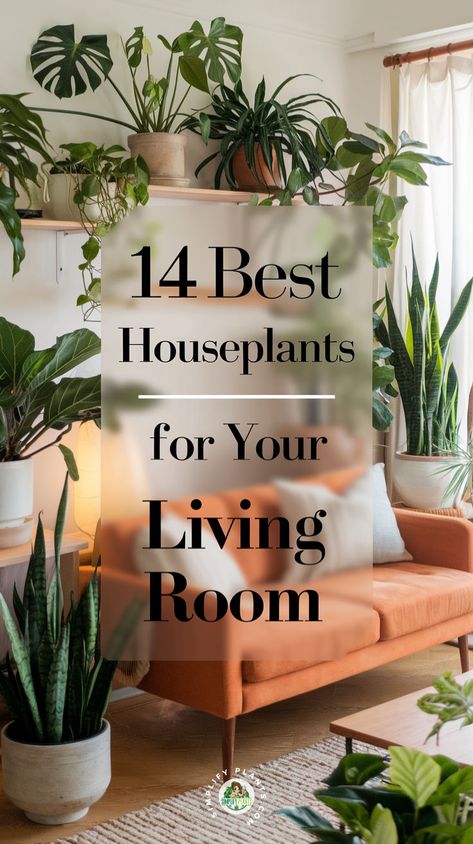 "Discover the 14 Best Houseplants for Your Living Room to elevate your houseplant decor! From easy to care for plants to stunning air-purifying plants, this guide offers essential plant care tips for thriving indoor gardening. Transform your space with vibrant greenery for home and explore houseplant ideas that suit any style!" Houseplant Ideas, Houseplant Decor, Best Houseplants, Easy Indoor Plants, Room Plants, Plant Styling, Plant Care Tips, Living Room Plants, Air Purifying Plants