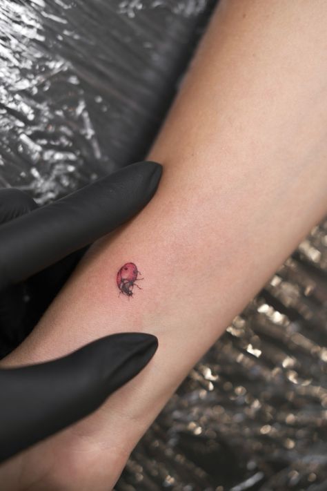 Tattoo Red Ink, Ladybug Tattoo, Red Ink Tattoo, Tattoo Red, Lady Bug Tattoo, Red Ink Tattoos, Tattoo Black, Red Ink, Ink Tattoo