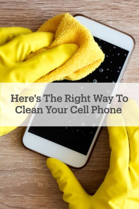 With our cell phones being a huge part of our lives, cleaning and sanitizing your phone is crucial! Find out the correct way to clean all those hidden germs off your #phone! 📱 How To Clean Phone, Cleaning Phone, Iphone Information, Cleaning Screens, Clean Phone, Gas Station, Phone Screen, Cell Phones, You Think