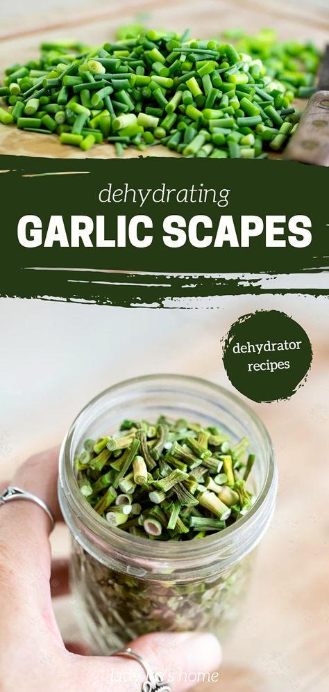 How To Preserve Garlic Scapes, Dehydrating Garlic In Dehydrator, Dehydrate Garlic Scapes, Preserving Garlic Scapes, How To Store Garlic Long Term, Dehydrating Garlic, Dehydrate Garlic, Dehydrated Food Recipes, Garlic Scapes Recipes