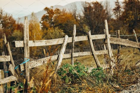 Old broken wooden fence by Lori B. on @creativemarket Fences Aesthetic, Fence Reference, Old Wood Fence, Old Wooden Fence, Fall Market, Old Fences, Farm Fence, Fence Paint, Metal Fence