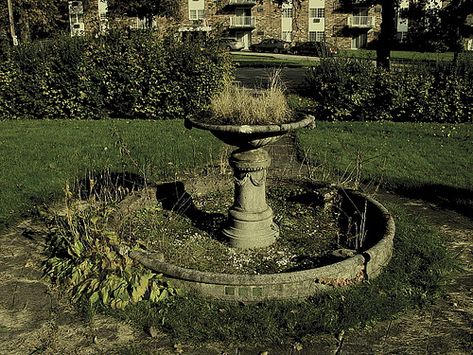 Zombie Apocalypse House, Big Mansions, Mansion Exterior, Manor Garden, Youngstown Ohio, Abandoned Mansion, Dollhouse Projects, Abandoned Mansions, Garden Fountain