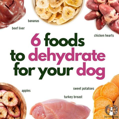 Your Natural Dog with Angela Ardolino on Instagram: "With the cost of goods rising, it may be time to consider DIY dog treats! 🦴 Angie's favorites? Anything that is single-ingredient, which boils down to whole, real food! 🥩 Dehydrating simply means taking the moisture out of something, and although that sounds complicated, it's quite simple! 💦 Step ☝️ : Buy your dog's favorite meat, fruit, or vegetables! Step ✌️ : Slice it up. Step 🤟 : Put it into the dehydrator for a certain length of t Dehydrator Dog Treats, Apple Turkey, Dog Biscuit, Dog Biscuit Recipes, Chicken Heart, Sweet Potato And Apple, Biscuit Recipes, Dog Treats Homemade Recipes, Diy Dog Treats