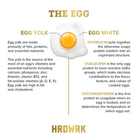 Egg Benefits, Egg White Protein, Essential Oils For Pregnancy, Health Articles Wellness, Sleep Remedies, Fat Soluble Vitamins, Health Dinner, Best Detox, Oral Health Care