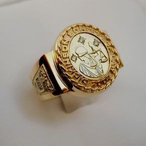 Family Crest Ring, Graduation Ring, Family Crest Rings, College Rings, Custom Signet Ring, Graduation Rings, Lawyer Fashion, Mens Gold Jewelry, Signet Rings