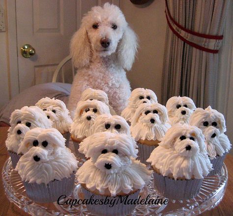 Puppy Cupcakes, Dog Cupcakes, Realistic Cakes, Cupcake Cake Designs, Animal Cupcakes, Mini Tortillas, Dog Cakes, Animal Cakes, Real Dog