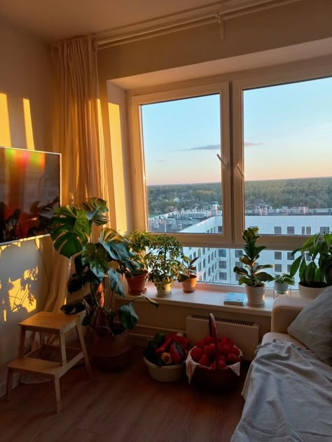 Diy Weekly Planner, Room Reference, Balcony Window, Morning Vibes, Easy Life, Window Room, Big Windows, Window View, Morning Sun