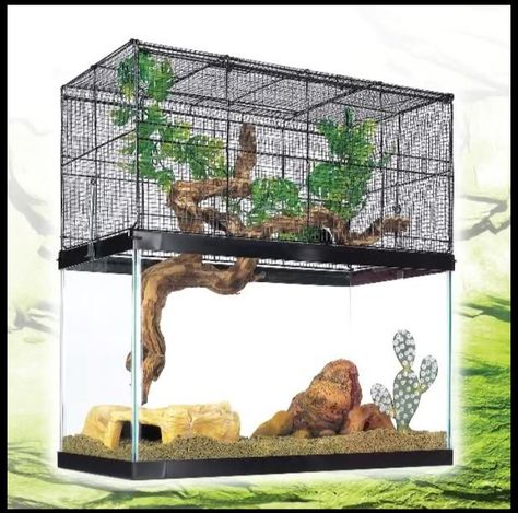 Diy Bearded Dragon Enclosure, Vivarium Ideas, Lizard Habitat, Diy Reptile, Bearded Dragon Diy, Bearded Dragon Terrarium, Turtle Stuff, Bearded Dragon Habitat, Enclosure Ideas