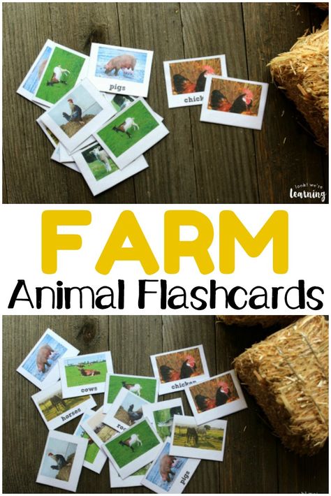 Get to know the animals on the farm with these printable farm animal flashcards! These are wonderful for a farm unit with young learners! #prek #preschool #science #learning #education #animals Farm Animal Language Activities Preschool, Farm Animal Flashcards, Farm Activities Preschool, Learning Animals, Animals On The Farm, Farm Animals Preschool, Farm Animal Art, Farm Animals Activities, Farm Theme Preschool