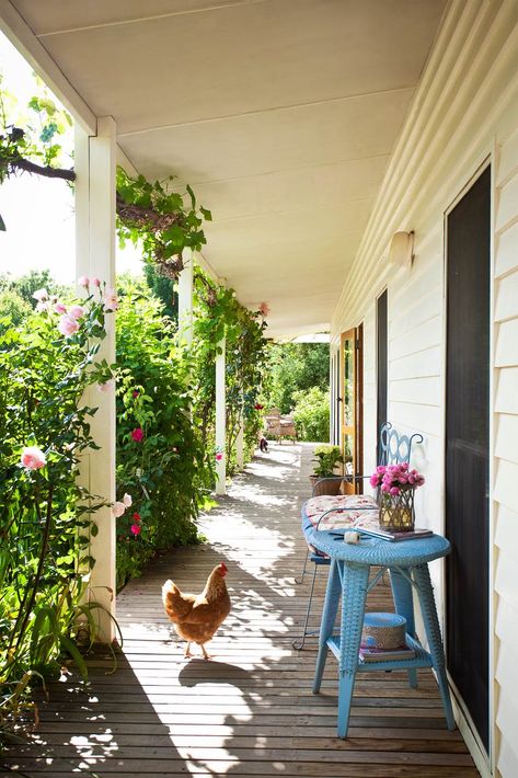 Country Porch, Farmhouse Porch, The Porch, A Chicken, Country Farm, Country Gardening, Porch Patio, Shade Garden, Chicken Coop