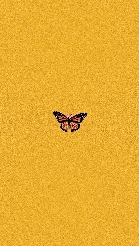 Amazon Wallpaper, Iphone Wallpaper Yellow, Yellow Aesthetic Pastel, Iphone Wallpaper Vsco, Iphone Wallpaper For Guys, Butterfly Wallpaper Iphone, Wallpaper Tumblr, Wallpaper Pastel, Mood Wallpaper