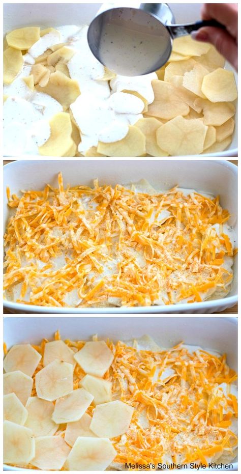 thinly sliced potatoes in a baking dish with shredded cheese Sliced Potato Recipes, Potato Recipes Oven, Shredded Cheese Recipes, Shredded Potato Casserole, Can Potatoes Recipes, Scalloped Potato Casserole, Cheesy Potato Bake, Scalloped Potatoes Recipe, Cheese Casserole Recipes