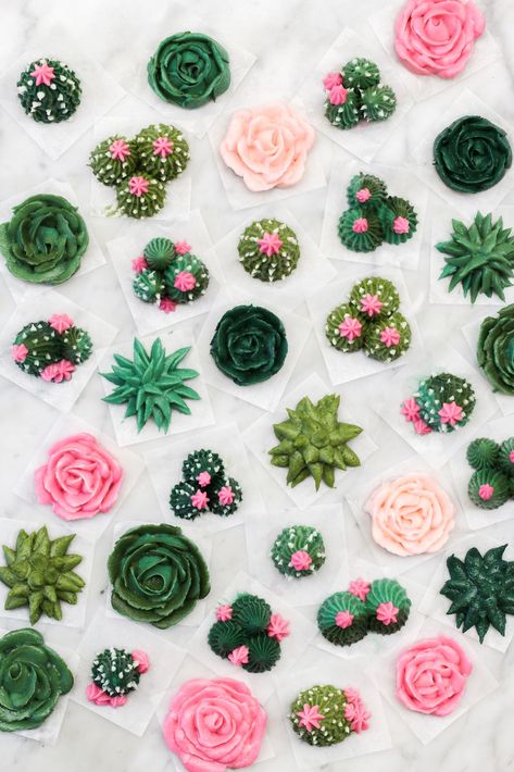 Cactus Cupcakes, Succulent Cupcakes, Succulent Cake, Cactus Cake, Mini Torte, Cupcake Designs, Easy Cake Decorating, Childrens Birthday Cakes, Buttercream Flowers