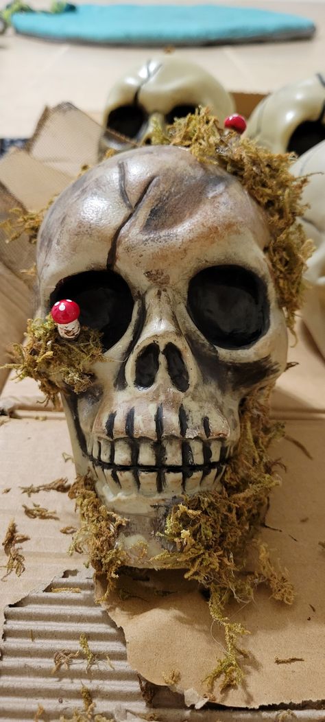 Skull, Halloween, decoration Graveyard Garden, Halloween Skull Decor, Skull Ideas, Diy Skulls, Skull Planter, Dollar Tree Halloween, Faux Moss, Pretty Pumpkins, Halloween Crafts Decorations