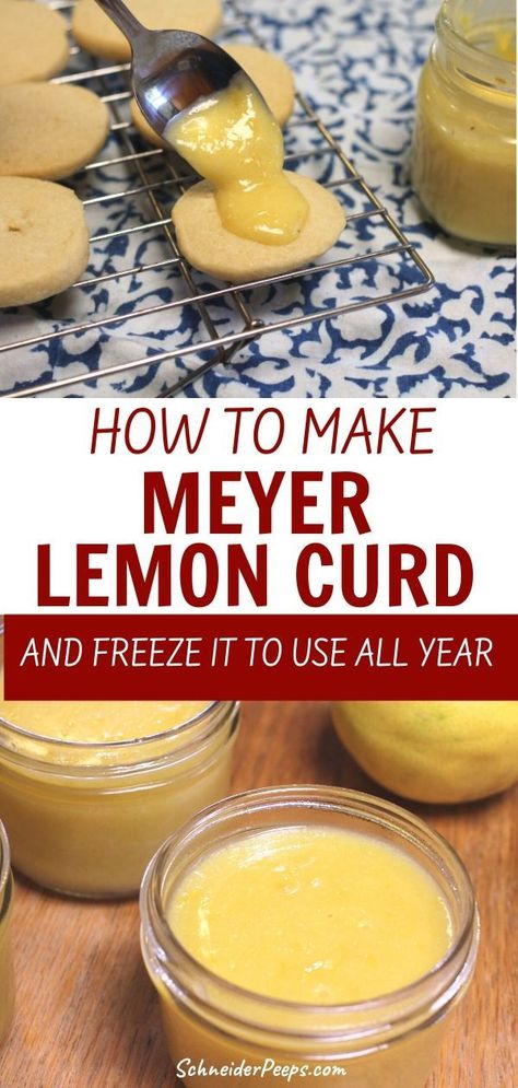 Meyer Lemon Curd Recipe, Can You Freeze Lemons, Lemon Curd Uses, Freeze Lemons, Curd Recipes, Meyer Lemon Curd, Freezing Lemons, Meyer Lemon Recipes, Edible Centerpieces