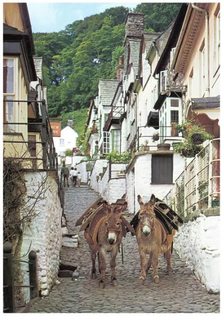 Clovelly donkeys who ferry luggage, goods and occasionally small children Clovelly England, Clovelly Devon, Two Donkeys, Cobblestone Street, Devon Uk, Devon And Cornwall, Devon England, North Devon, Holiday Places