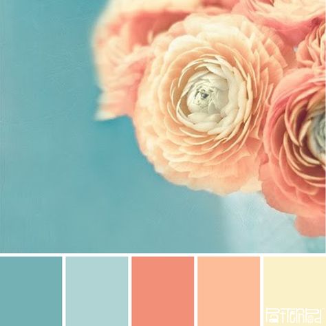 Bridal Blooms #patternpod #patternpodcolor #color #colorpalettes Peach And Blue Palette, Salmon Color Palette, Peachy Color Palette, Bedroom Spring, Aqua Inspiration, Coral Colour, Peach Colour, Soft Beauty, Design Moodboard