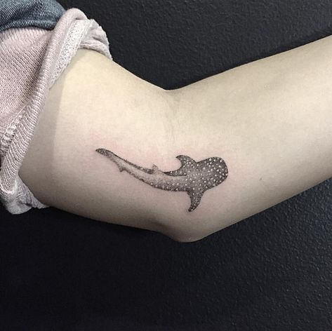 Cute Whale Shark Tattoo, Simple Shark Tooth Tattoo, Shark Teeth Tattoo, Simple Shark Tattoo, Small Shark Tattoo, Teeth Tattoo, Shark Tooth Tattoo, Whale Shark Tattoo, Hai Tattoo