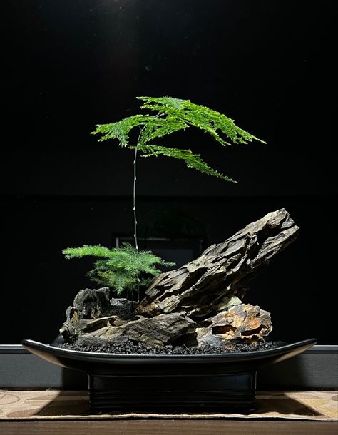 Garden Bonsai Tree, Wabi Kusa, Plants In Jars, Bonsai Tree Care, Japanese Garden Landscape, Mini Zen Garden, Garden Wagon, Ferns Garden, Zen Garden Design