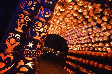 The Tunnel O' Love at The Great Jack O'Lantern Blaze in Croton-on-Hudson. Photo credit: Bryan Haeffele Halloween Calendar, Halloween Attractions, The Legend Of Sleepy Hollow, Legend Of Sleepy Hollow, Jack O Lanterns, Fall Events, Christmas Events, Sleepy Hollow, Pumpkin Faces