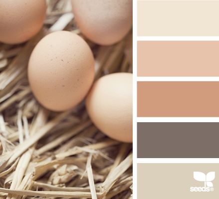 Prachtige basiskleuren voor de lichte lente. Het is een misverstand dat ze een L1 bleek maken! Son Pictures, Color Bathroom Design, Wedding Palettes, Seeds Color, Coral Colour, Pantone Palette, Color Boards, Brown Color Schemes, Shell Color