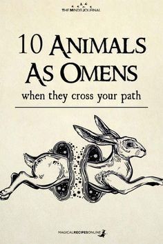 Animals As Omens, Animal Omens, Spirit Animal Meaning, Animal Meanings, 10 Animals, Pagan Spirituality, Animal Spirit Guides, Magick Spells, Wiccan Spell Book