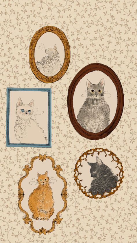 Collage Art Wallpaper, Cat Art Wallpaper, Hello Kitty Head, Wallpaper Art, Floral Wallpaper, Cat Art, Collage Art, Art Wallpaper, Hello Kitty