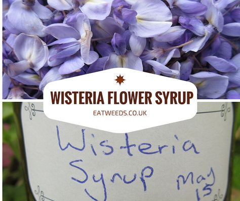 Flower Syrup Recipe, Floral Desserts, Wild Food Recipes, Flower Syrup, Medicinal Gardening, Diy Sauces, Flowers Recipes, Foraging Guide, Medicinal Wild Plants